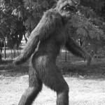 Bigfoot’s Gone Away (+tab for banjo,fiddle & mandolin) bigfoot