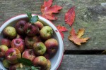 June Apple Banjo Tab + My Apple-Picking Gizmo
