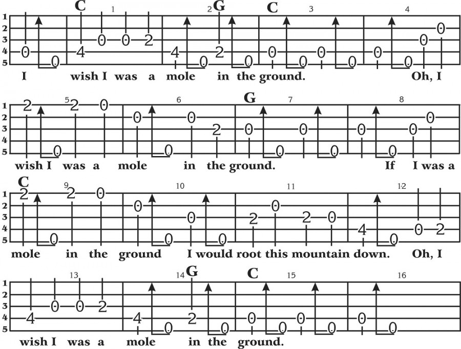 ‘I Wish I Was A Mole in the Ground’ on Clawhammer Banjo + New Book Native Ground